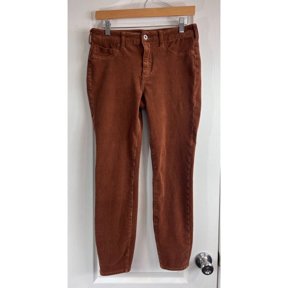 Pilcro and the Letterpress High Rise Skinny Corduroy Pants Rust Brown Women's 28